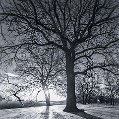 photo "***"