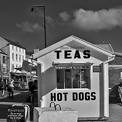 фото "Hot dogs..."