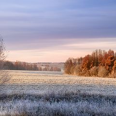 фото "О первых заморозках"