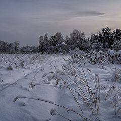 фото "на заснеженной дорожке"