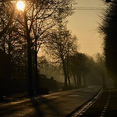 photo "***"