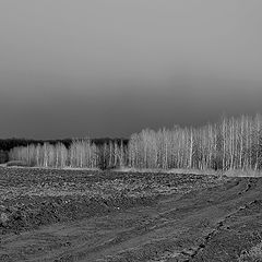 фото "Весенние пашни."