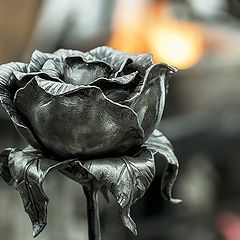 фото "Металл"