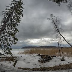 фото "Весеннее напряжение"
