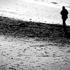 фото "a solitary walk"