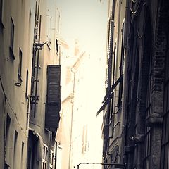 фото "the alley"