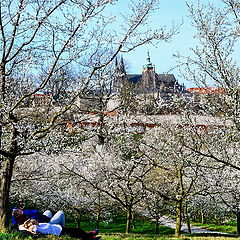 photo "Весенняя атмосфера"