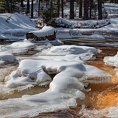 фото "Весенние кружева"