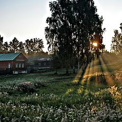 фото "утро в деревне"