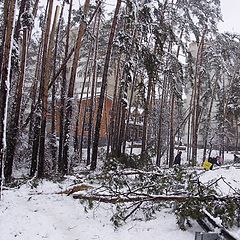 фото "После бури."