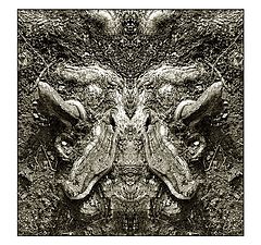фото "the wild boar"