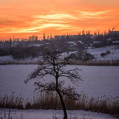 photo "Winter sunset"