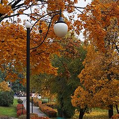 фото "Золотая осень"