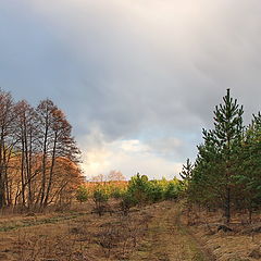 фото "Апрельский закат"