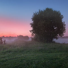 фото "На заре"