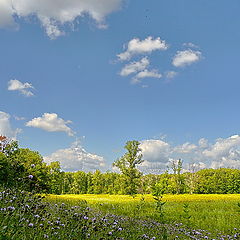 фото "Лето"