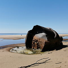 фото "Когда ушла вода. Чудское озеро"