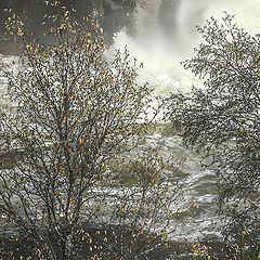 photo "Spring by the waterfall"