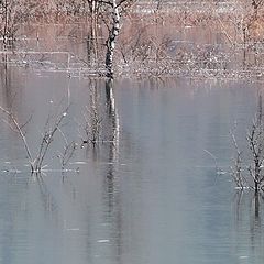 photo "Early spring"