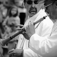 photo "in the street: musicians"