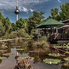 фото "Луизенпарк Манхайм /Luisenpark Mannheim/"