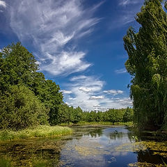 фото "Июньский денёк"