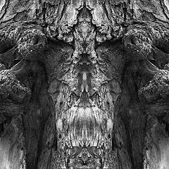 фото "grimmig doppelaug"