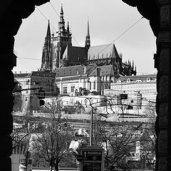 фото "Вид в аркаду"