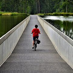 фото "Cycling through the water"