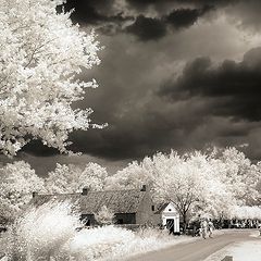 фото "My first infrared photo"