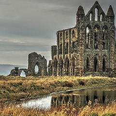 фото "Whitby Abbey"