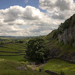 фото "Из серии ”English countryside ”"