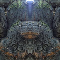 фото "der erleuchtete - the enlightened"