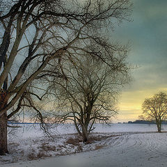 photo "A Winter's Morning"