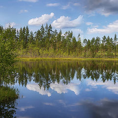 фото "Лесное озеро"