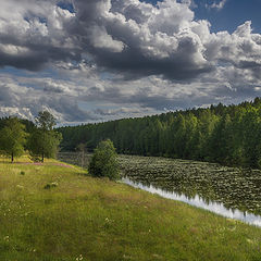 фото "Суна"