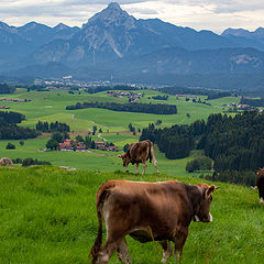 photo "Allgäu"