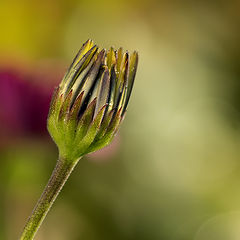 photo "Autumn coming"