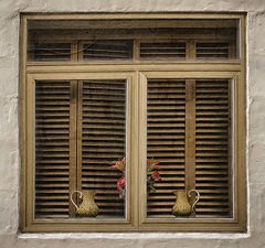 фото "Window"