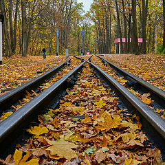 фото "..разные дороги.."