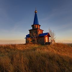 фото "В вечернем свете..."