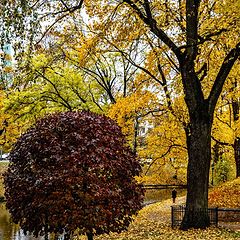 photo "Autumn, City Canal Park 2"