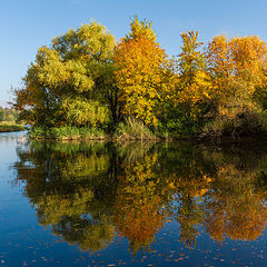 фото "Краски осени ."