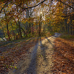 фото "...по тропинке.."