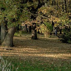 photo "осенние краски ..."