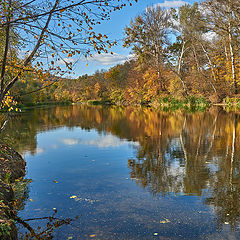 фото "..золотая осень.."