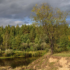 фото "Минувшим летом"