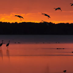 фото "Sunset arrival"