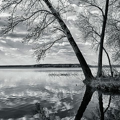 фото "...на самом краю.."