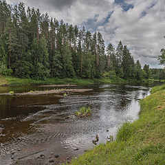 фото "Быстрая речка"